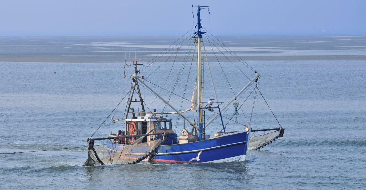 Ferienwohnung Familie Boeckmann Auf Norderney Bagian luar foto